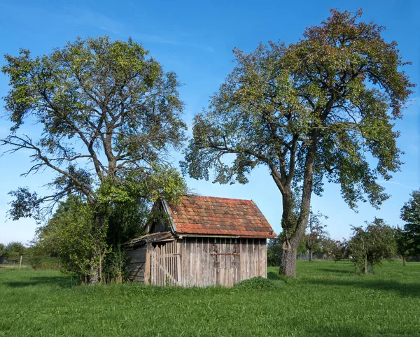 Kleiner Holzschuppen Unter Obstbäumen — Stockfoto