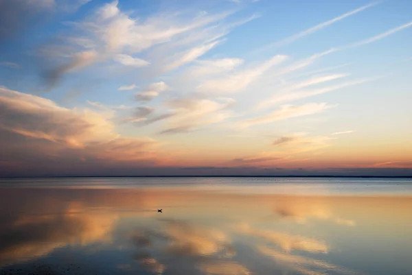 Pôr Sol Com Pássaro Sozinho Nadando Água Com Reflexos Dourados — Fotografia de Stock