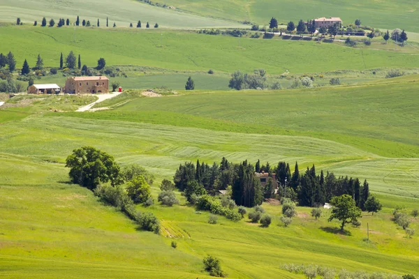 Toscane Groen Typisch Landschap Lente — Stockfoto