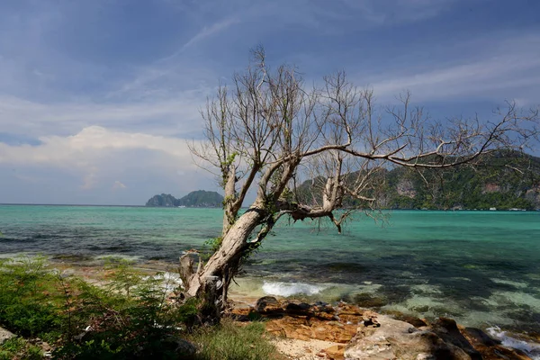 Adadan Phiphi Phi Phi Adası Güney Tayland Andaman Denizi Krabi — Stok fotoğraf