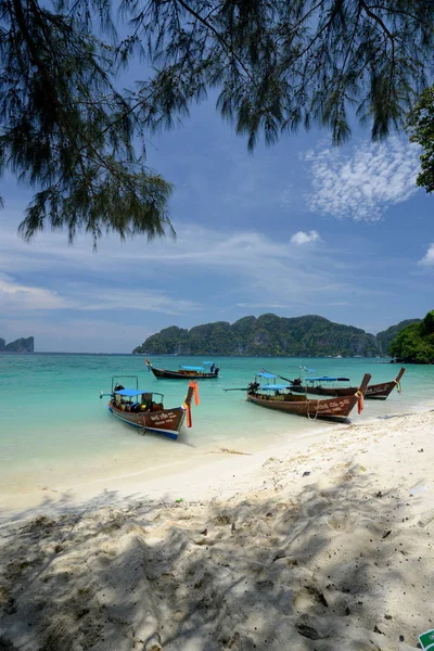 Beach Island Phiphi Phi Phi Island City Krabi Andaman Sea — Stock Photo, Image