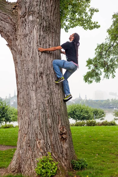 Freeclimber Klimboom Stadspark Bonn Duitsland — Stockfoto