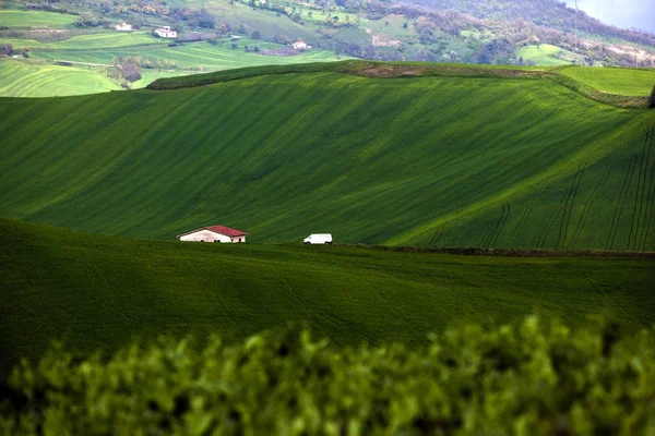 Belle Vue Sur Les Paysages Naturels — Photo