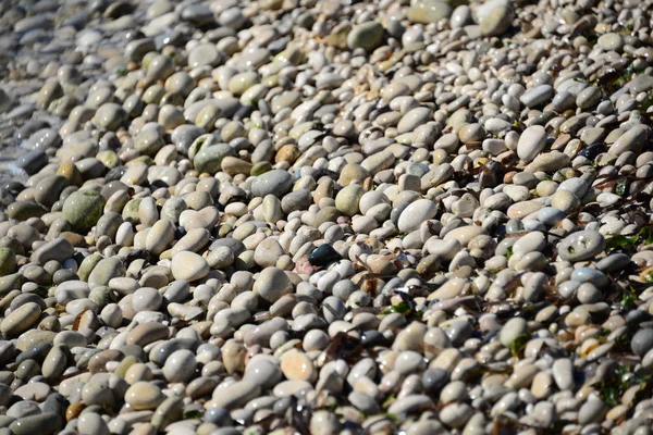 Strandstenen Rotsen Kiezelstenen — Stockfoto