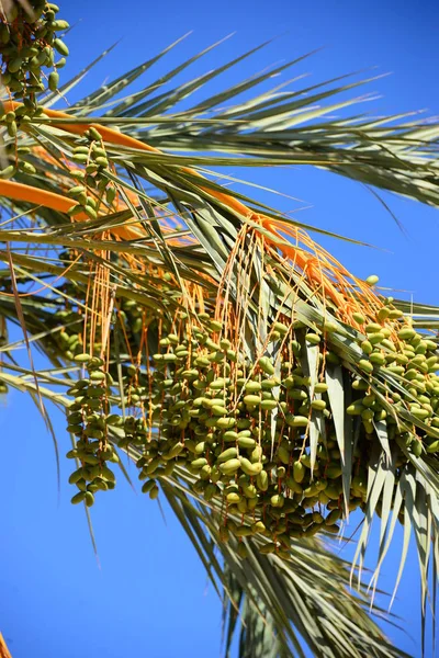 Natureza Bela Espanha — Fotografia de Stock