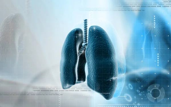 Digital Illustration Human Lungs Colour Background — Stockfoto