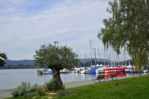 Orla Constância Lago Sipplingen — Fotografia de Stock