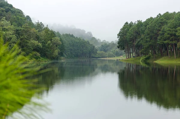 Paisagem Natural Alvorecer Lagos Florestas Pinheiros Pang Ung Parque Nacional — Fotografia de Stock