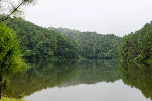 Naturlandschaft Morgengrauen Von Seen Und Kiefernwäldern Pang Ung Nationalpark Der — Stockfoto