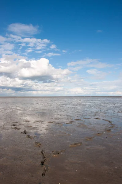 Wattenmeer Nordsee Herz Watt Welterbe — Stockfoto