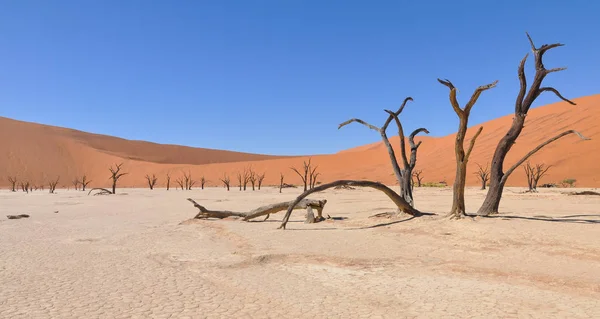 Zicht Woestijnlandschap Namibië — Stockfoto