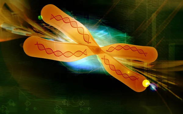 Cyfrowa Ilustracja Chromosomu Tle Koloru — Zdjęcie stockowe