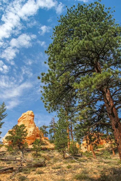 Naturaleza Fotografía Paisaje Geología — Foto de Stock