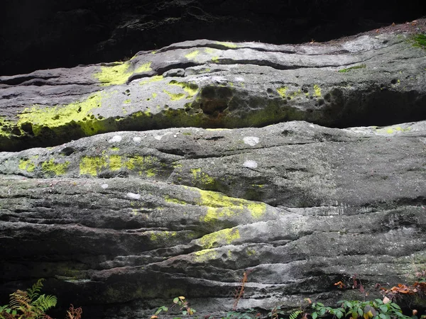 Lichens Rocks Lichen Rock Stone Nature Botany Environment Mountain Mountains —  Fotos de Stock