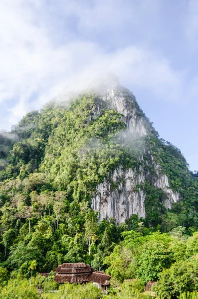 Tayland Tropikal Ormanlarıyla Çevrili Yüksek Kireçtaşı Dağları — Stok fotoğraf