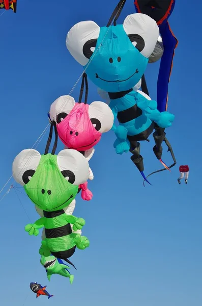 Kite Festival Flying Colored Kites — Stock Photo, Image