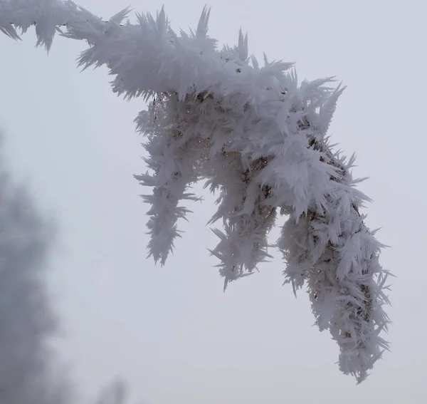 Färgglada Bakgrund För Jul Eller Nyår Semester Kort — Stockfoto