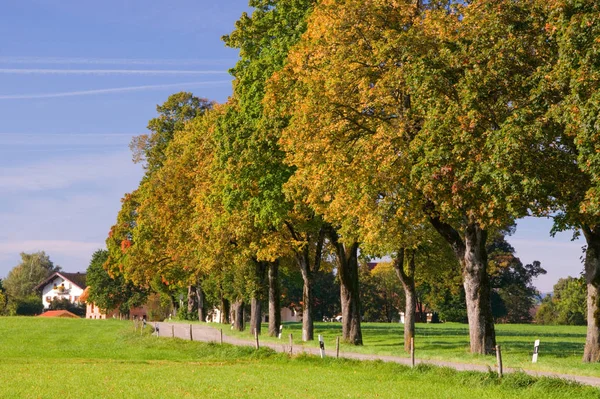 Cultura Tierra Bávara Alemania — Foto de Stock