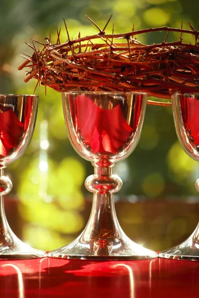 Chalices Con Corona Espinas Una Materia Roja —  Fotos de Stock