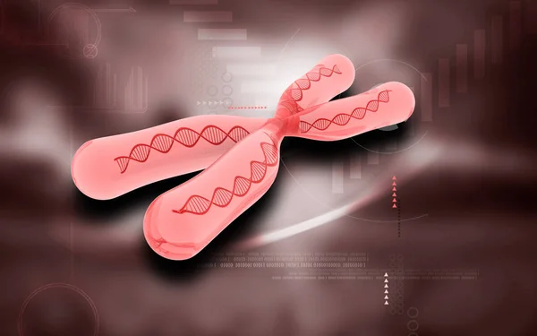 Digital Illustration Chromosome Colour Background — Stock Photo, Image
