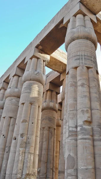 Columnas Papiro Templo Luxor Egipto — Foto de Stock