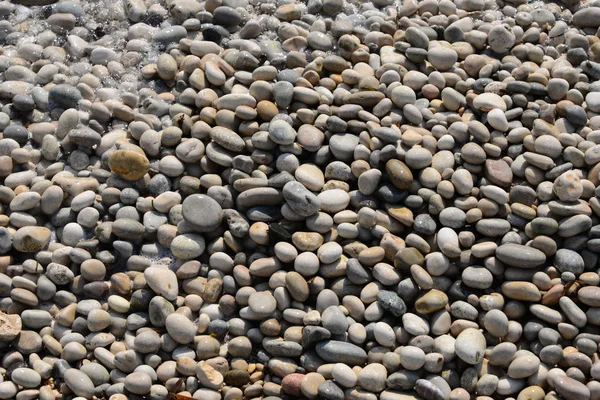 Beach Stones Rocks Background — Stock Photo, Image