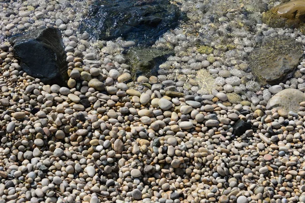 海滩上的石头 小岩石 — 图库照片