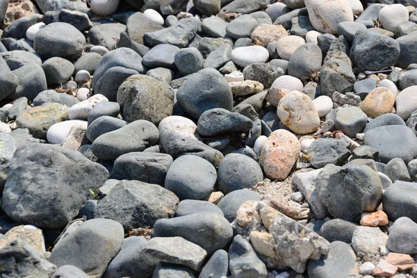 Kövek Strandon Kis Kövek — Stock Fotó