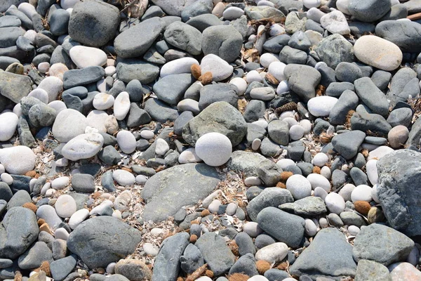 Pietre Sulla Spiaggia Piccole Rocce — Foto Stock