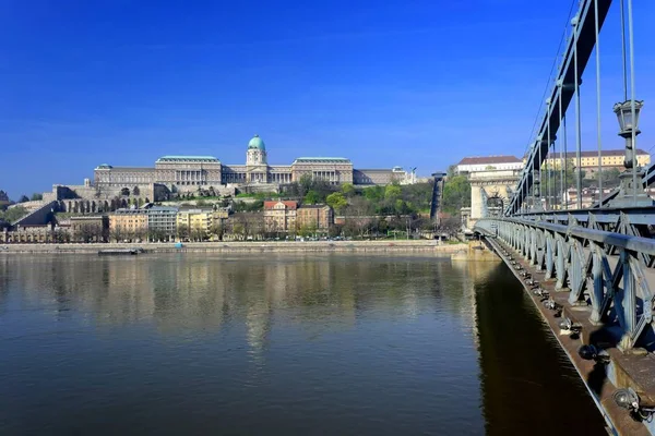 Castle Palace Mint Chain Bridge Danube Budapest — 스톡 사진