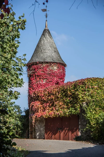 Forteresse Bien Conservée Sur Lahn — Photo