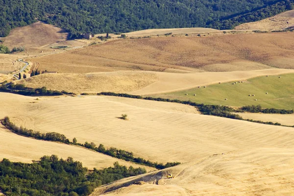 Vista Del Paisaje Típico Toscana Verano Italia — Foto de Stock