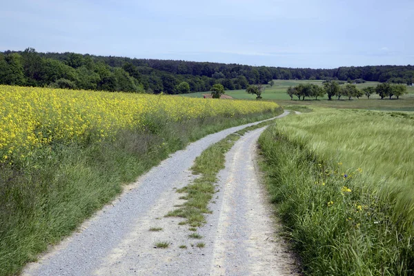 field path,path,field,fields,field,summer,tree,trees,bush,bushes,landscape,sky,cloud,clouds,cultural landscape,