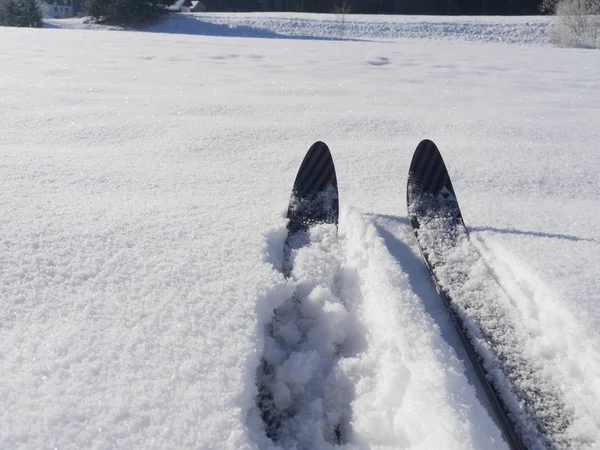 雪に覆われたスキーのカップルが — ストック写真