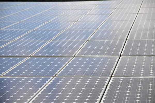太阳能电池 太阳能电池 太阳能电池板 太阳能 太阳能 替代能源 能源生产 太阳能电池板 太阳能电池板 — 图库照片