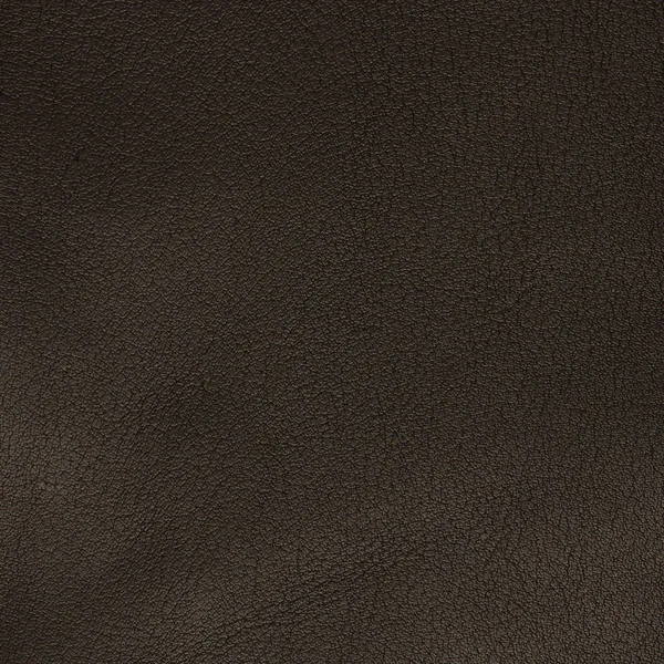 Green Leather Texture Closeup Background — Stock Photo, Image