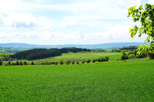 Hermosa Vista Naturaleza — Foto de Stock