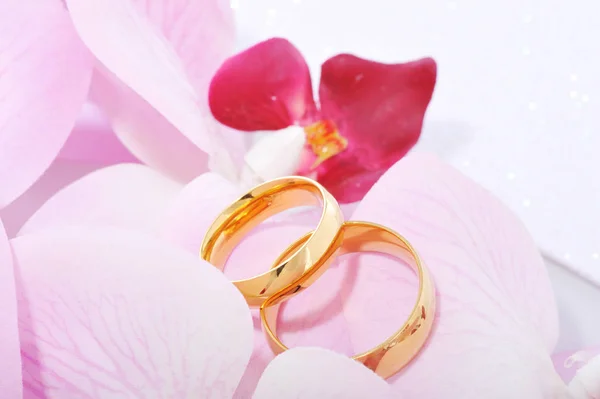 Due Anelli Oro Orchidea Del Rosaner Sfondo Glitter Argento — Foto Stock