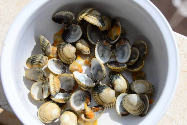 Meeresfrüchte Herzmuscheln Spanien — Stockfoto