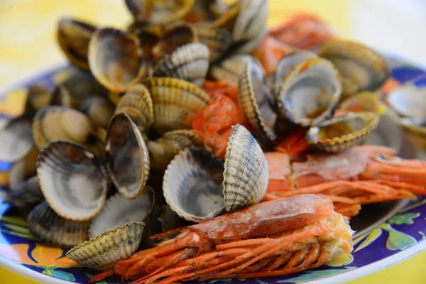 Casquillos Mar Con Dolor — Foto de Stock