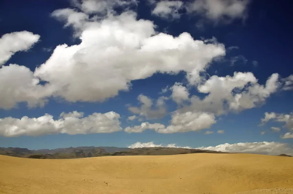 Sanddyn Sanddyn Sand Öken Maspalom Gran Canaria Kanariefåglar Kanariefåglar Spanien — Stockfoto