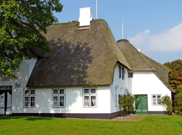 Fridge Residence Friesland Syhold Building Thatched Ambient Northern German Villa — стоковое фото