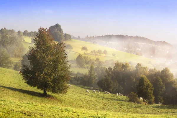 Landleben Selektiver Fokus — Stockfoto