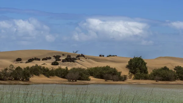 Vista Panorámica Las Dunas Enfoque Selectivo — Foto de Stock