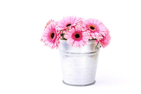 Bir Kova Pembe Gerbera Çiçekler — Stok fotoğraf