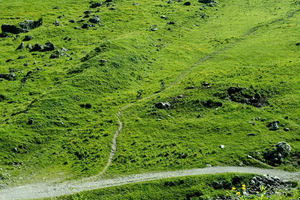 Vista Panorámica Del Majestuoso Paisaje Los Alpes — Foto de Stock