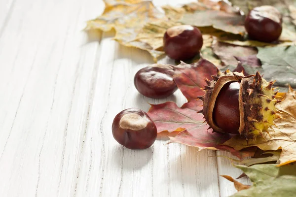 Decoración Autumnal Con Castañas Hojas — Foto de Stock