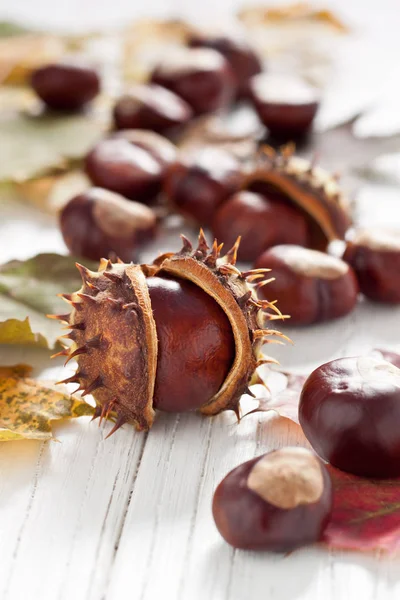 Herbstliche Dekoration Mit Kastanien Und Blättern — Stockfoto