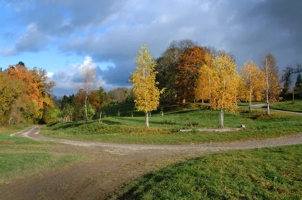 Alberi Autunnali Alla Luce Del Sole — Foto Stock