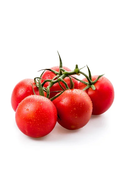 Tomates Frescos Videira Fundo Branco — Fotografia de Stock